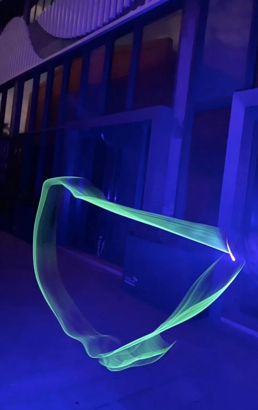 Glow in the Dark Loop Toy
